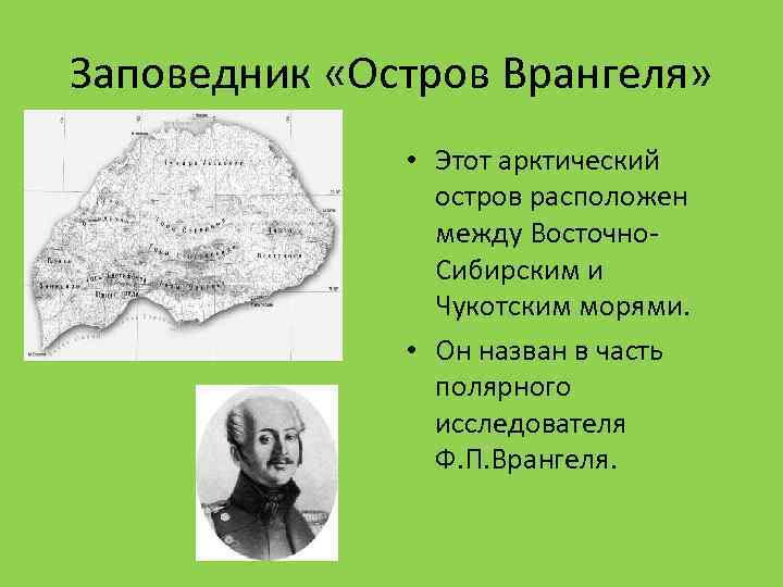 Заповедник «Остров Врангеля» • Этот арктический остров расположен между Восточно- Сибирским и Чукотским морями.