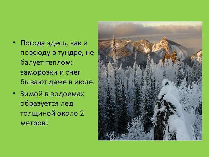  • Погода здесь, как и повсюду в тундре, не балует теплом: заморозки и