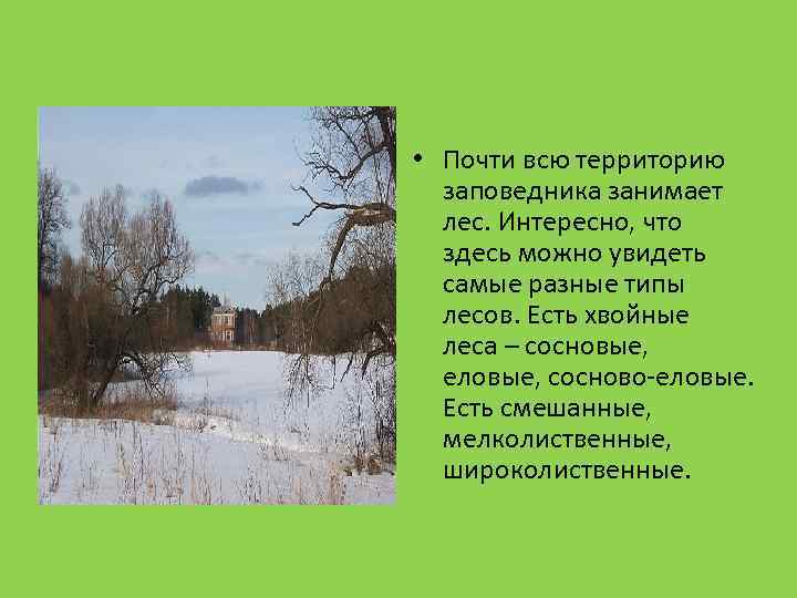  • Почти всю территорию заповедника занимает лес. Интересно, что здесь можно увидеть самые
