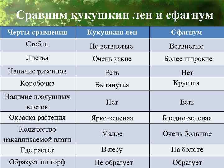 Сравним кукушкин лен и сфагнум Черты сравнения Кукушкин лен Сфагнум Стебли Не ветвистые Ветвистые