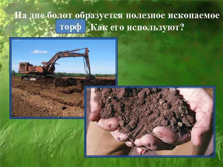 На дне болот образуется полезное ископаемое - торф. Как его используют? 