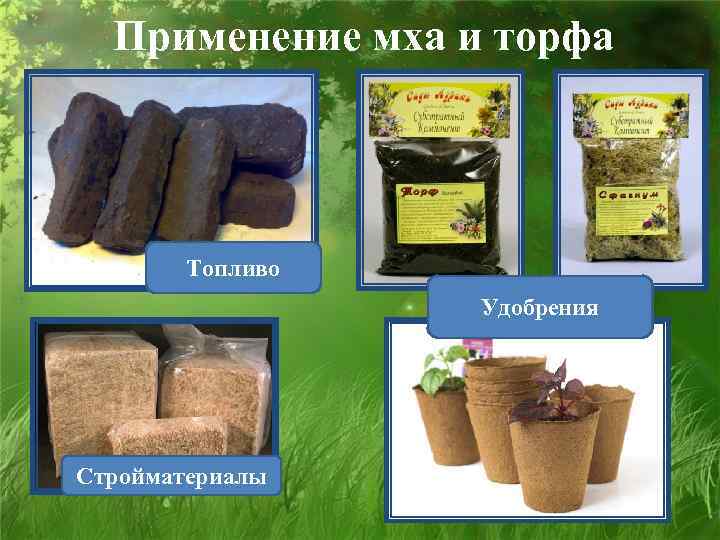 Применение мха и торфа Топливо Удобрения Стройматериалы 