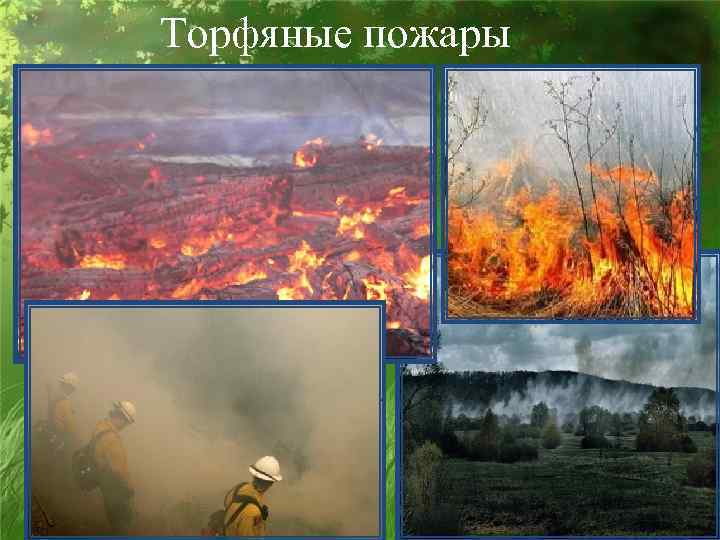 Торфяные пожары 