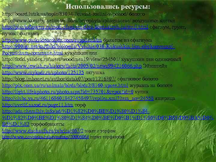 Использовались ресурсы: http: //board. lutsk. ua/topic/83034 -lkuvaln-roslini-v-pohod/ болото http: //www. korseby. net/outer/flora/bryophyta/sphagnaceae/ воздушные клетки