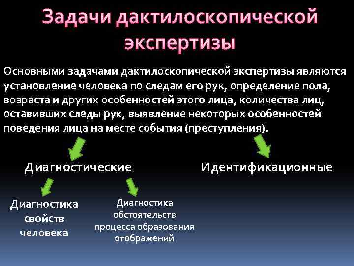 Задачи дактилоскопической экспертизы Основными задачами дактилоскопической экспертизы являются установление человека по следам его рук,