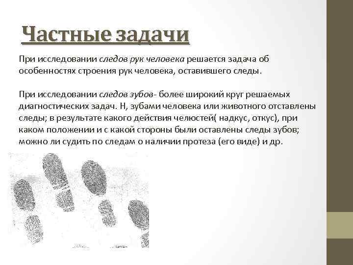 Частные задачи При исследовании следов рук человека решается задача об особенностях строения рук человека,