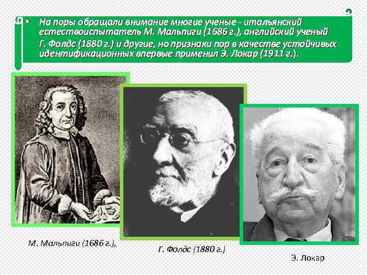 • На поры обращали внимание многие ученые - итальянский естествоиспытатель М. Мальпиги (1686
