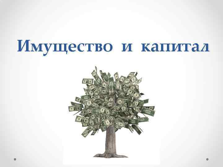 Оценка природного капитала. Имущество и капитал. Капитал и имущество предприятий. Капитал презентация. Капитал ресурсы картинки для презентации. Презентация имущество и капитал. Основные средства.