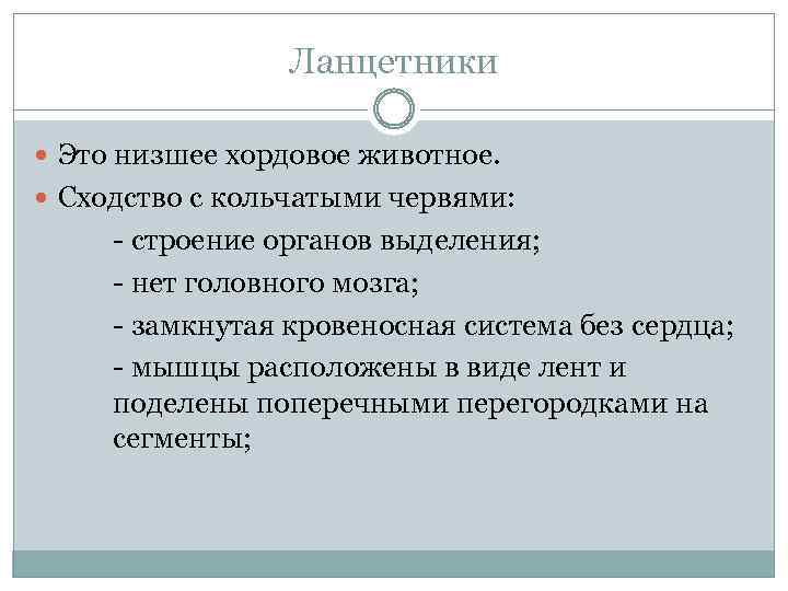 Ланцетники Это низшее хордовое животное. Сходство с кольчатыми червями: строение органов выделения; нет головного