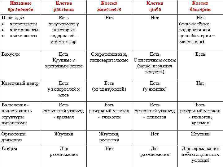 Название органоидов Клетка растения Клетка животного Клетка гриба Пластиды: хлоропласты хромопласты лейкопласты Есть отсутствуют