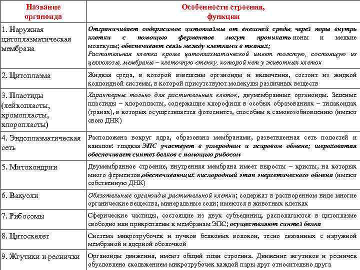 Соответствие между органоидами клетки и функциями