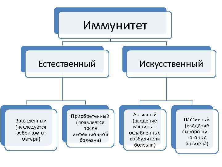 Искусственный иммунитет возникает. Иммунитет естественный и искусственный схема. Естественный иммунитет. Иммунитет естественный и искусственный таблица. Искусственный иммунитет делится на.