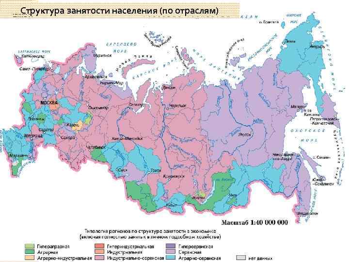 Структура занятости населения (по отраслям) 