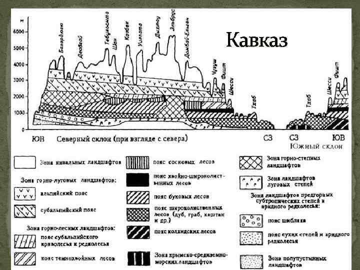 Кавказ 