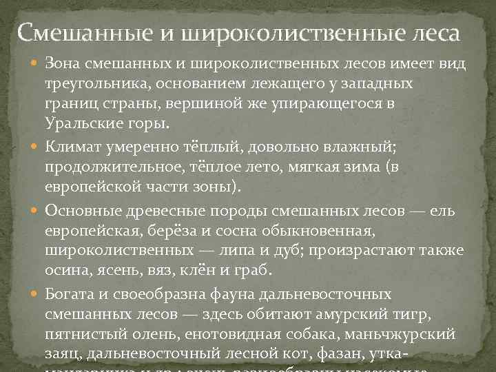 Смешанные и широколиственные леса Зона смешанных и широколиственных лесов имеет вид треугольника, основанием лежащего