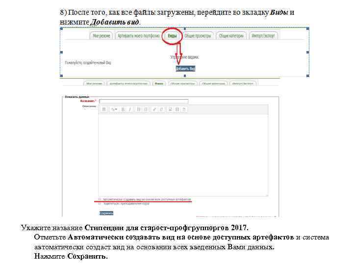 Укажите название Стипендии для старост-профгруппоргов 2017. Отметьте Автоматически создавать вид на основе доступных артефактов