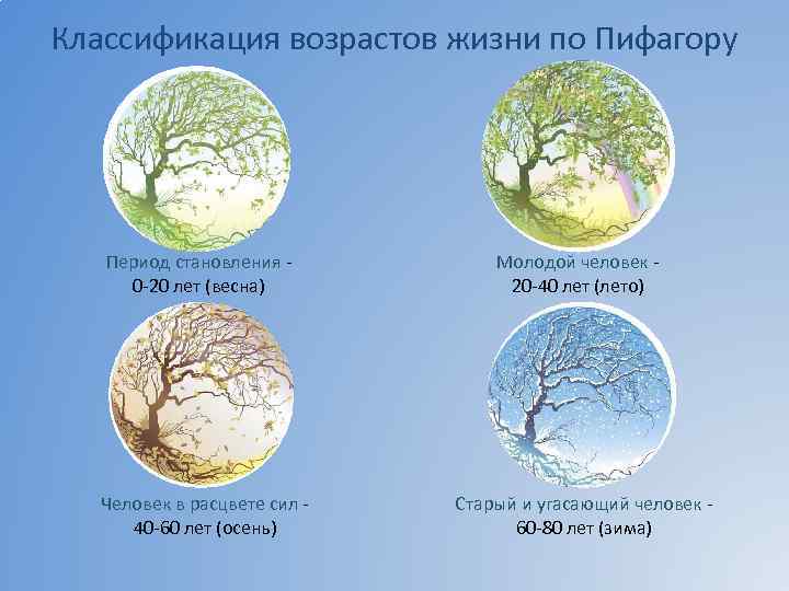 Сравниваемый период. Классификация возрастов по Пифагору. Классификация возрастов жизни по Пифагору. Времена года и периоды жизни. Пифагор периоды жизни человека.