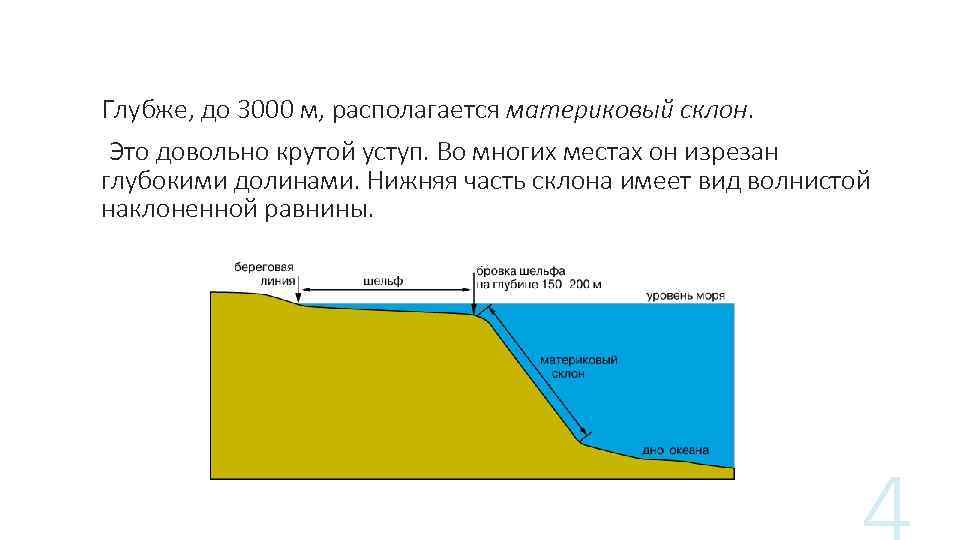  Глубже, до 3000 м, располагается материковый склон. Это довольно крутой уступ. Во многих