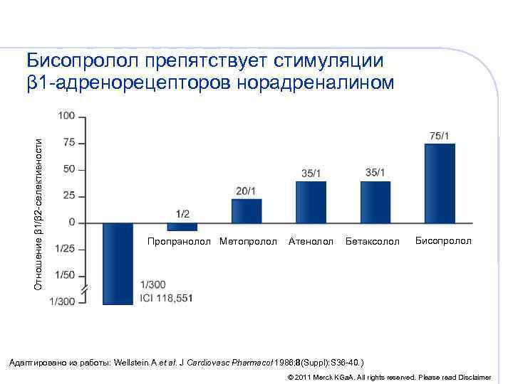 Отношение β 1/β 2 -селективности Бисопролол препятствует стимуляции β 1 -адренорецепторов норадреналином Пропранолол Метопролол