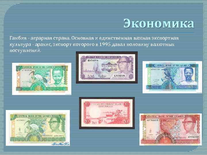 Экономика Гамбия - аграрная страна. Основная и единственная важная экспортная культура - арахис, экспорт