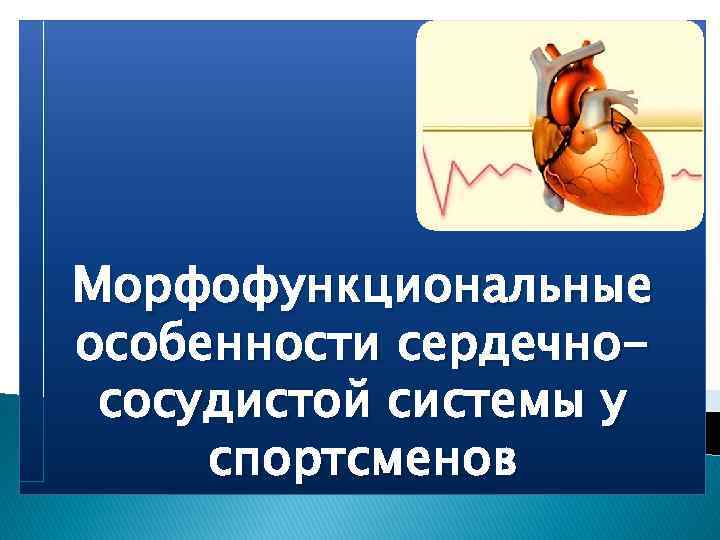 Особенности сердечно сосудистой системы. Сердечно-сосудистая система спортсмена. Морфофункциональная характеристика сердечно-сосудистой системы. Морфофункциональные особенности сердца. Особенности сердечно-сосудистой системы у спортсменов.