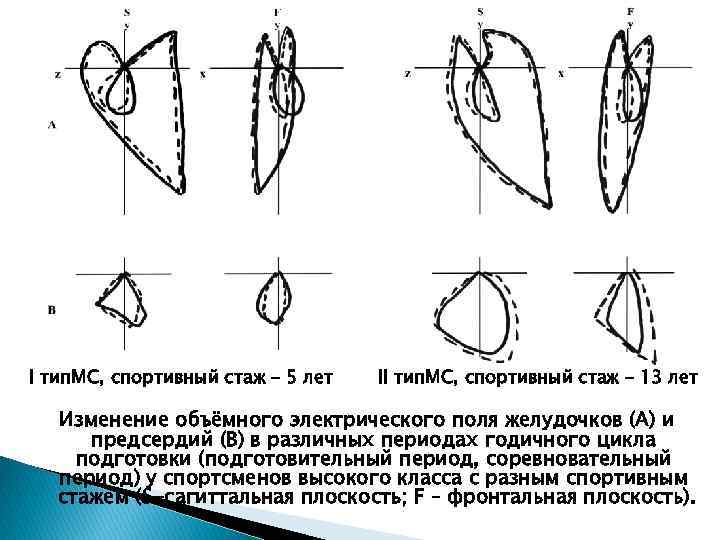І тип. МС, спортивный стаж – 5 лет ІІ тип. МС, спортивный стаж –