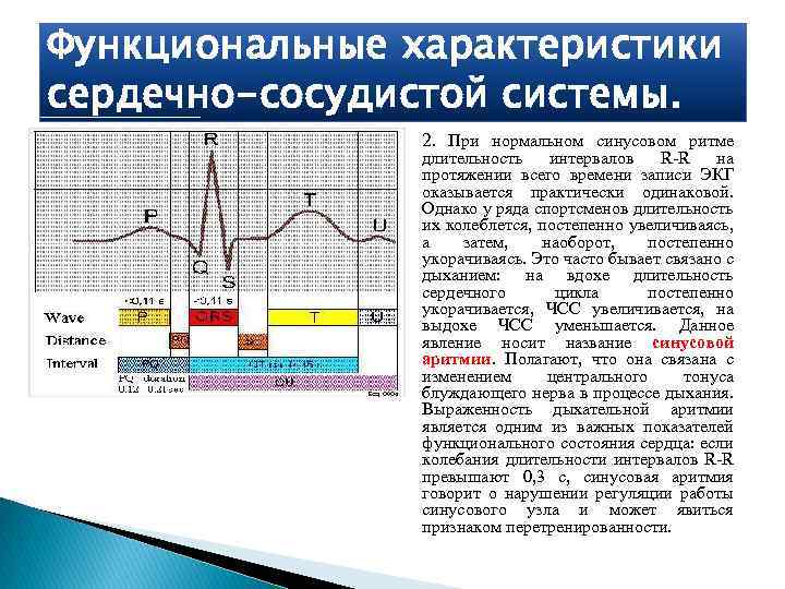 Функциональные характеристики сердечно-сосудистой системы. 2. При нормальном синусовом ритме длительность интервалов R-R на протяжении