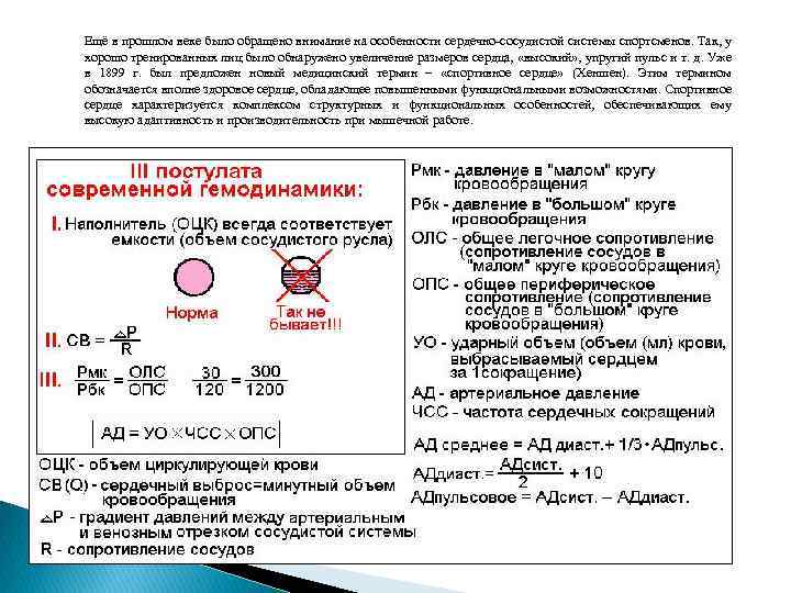 Ещё в прошлом веке было обращено внимание на особенности сердечно-сосудистой системы спортсменов. Так, у