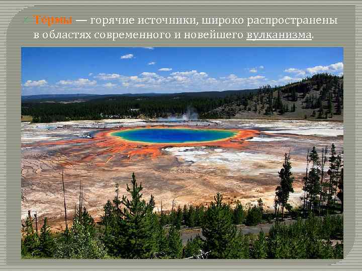  Те рмы — горячие источники, широко распространены в областях современного и новейшего вулканизма.