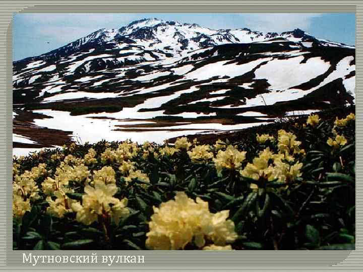 Мутновский вулкан 