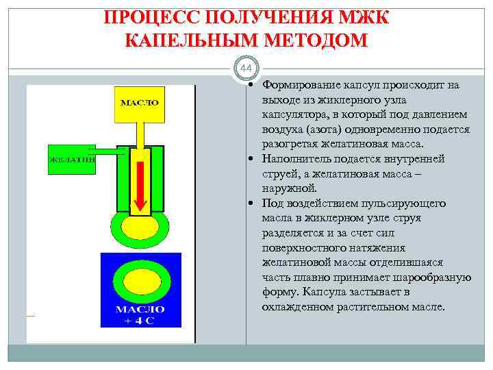 Технологическая схема производства твердых желатиновых капсул