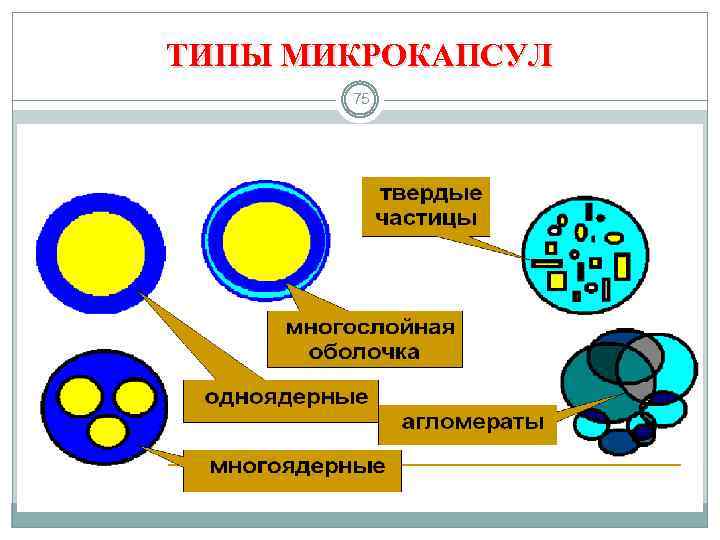 ТИПЫ МИКРОКАПСУЛ 75 