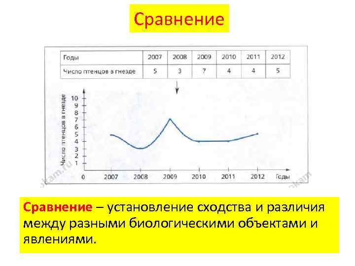 Сравнение – установление сходства и различия между разными биологическими объектами и явлениями. 