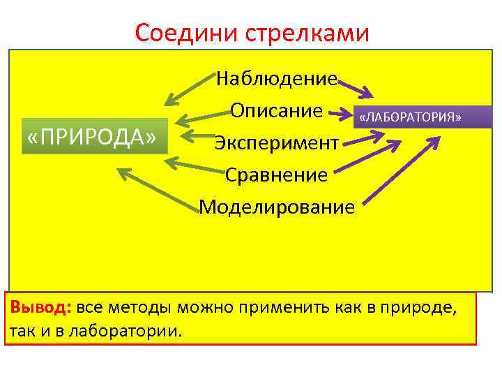 Методы изучения живой природы биология 5 класс. Методы изучения природы применяемые в лаборатории. Методы изучения природы сравнение. Основные методы исследования живой природы. Описание сравнение моделирование наблюдение эксперимент.