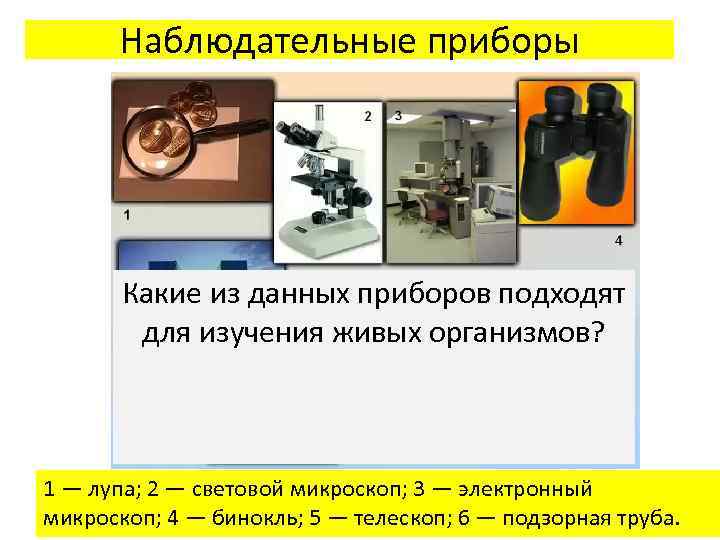 Наблюдательные приборы Какие из данных приборов подходят для изучения живых организмов? 1 — лупа;
