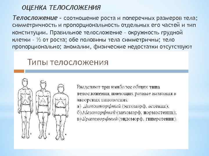 ОЦЕНКА ТЕЛОСЛОЖЕНИЯ Телосложение – соотношение роста и поперечных размеров тела; симметричность и пропорциональность отдельных