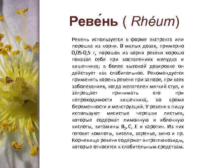 Реве нь ( Rhéum) Ревень используется в форме экстракта или порошка из корня. В
