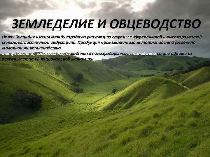  ЗЕМЛЕДЕЛИЕ И ОВЦЕВОДСТВО Новая Зеландия имеет международную репутацию страны с эффективной и высокоразвитой