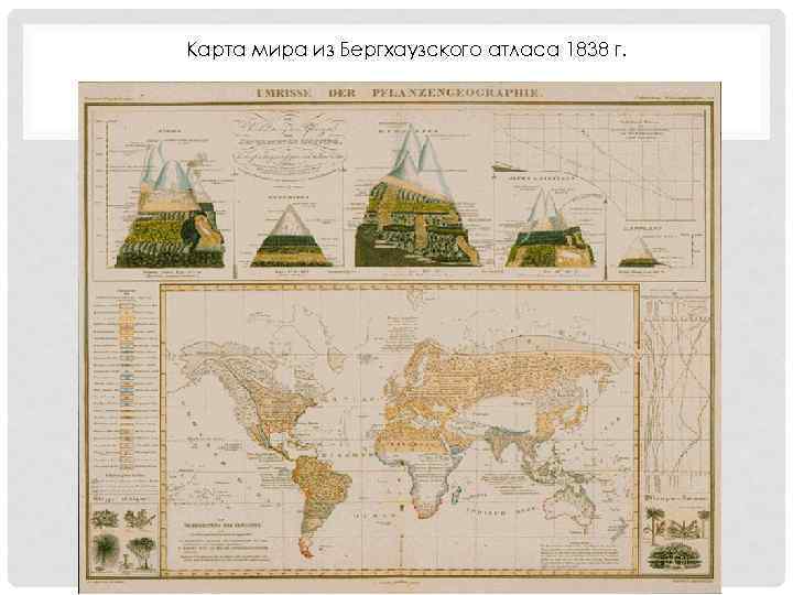 Карта мира из Бергхаузского атласа 1838 г. 