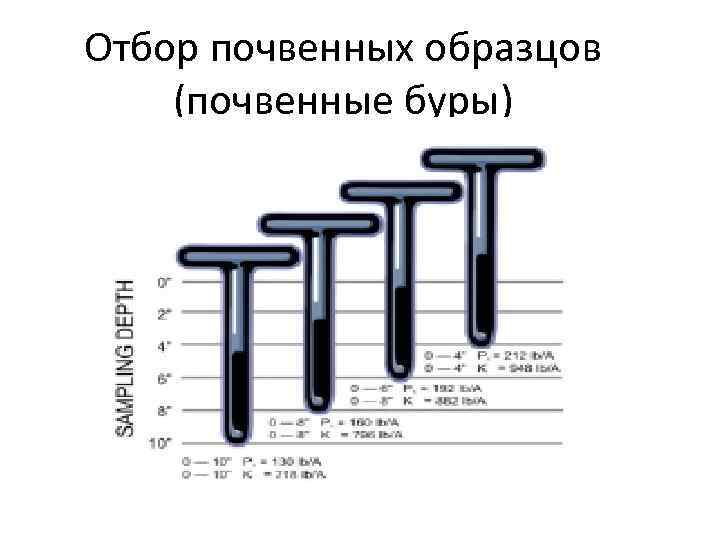 Отбор почвенных образцов (почвенные буры) 