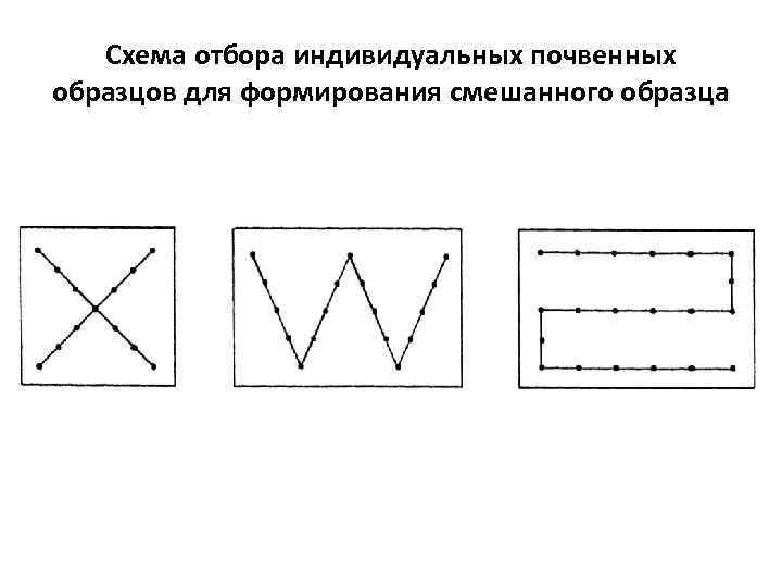 Отбор почвенных образцов методом конверта