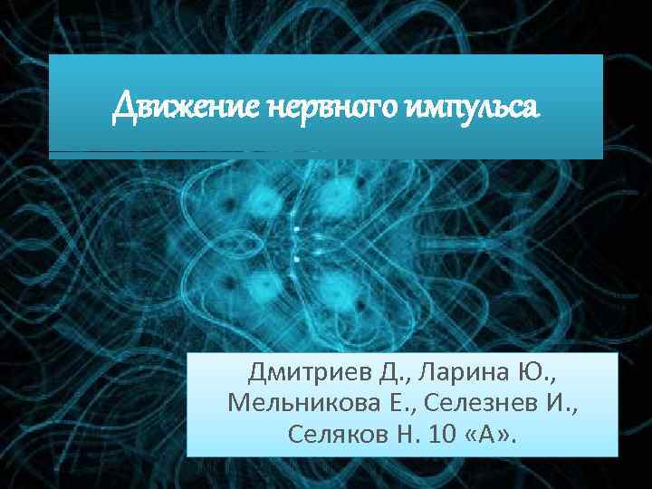 Движение нервного импульса Дмитриев Д. , Ларина Ю. , Мельникова Е. , Селезнев И.