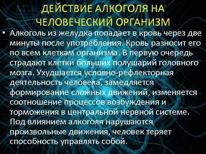 ДЕЙСТВИЕ АЛКОГОЛЯ НА ЧЕЛОВЕЧЕСКИЙ ОРГАНИЗМ • Алкоголь из желудка попадает в кровь через две