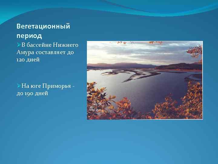 Вегетационный период ØВ бассейне Нижнего Амура составляет до 120 дней ØНа юге Приморья до