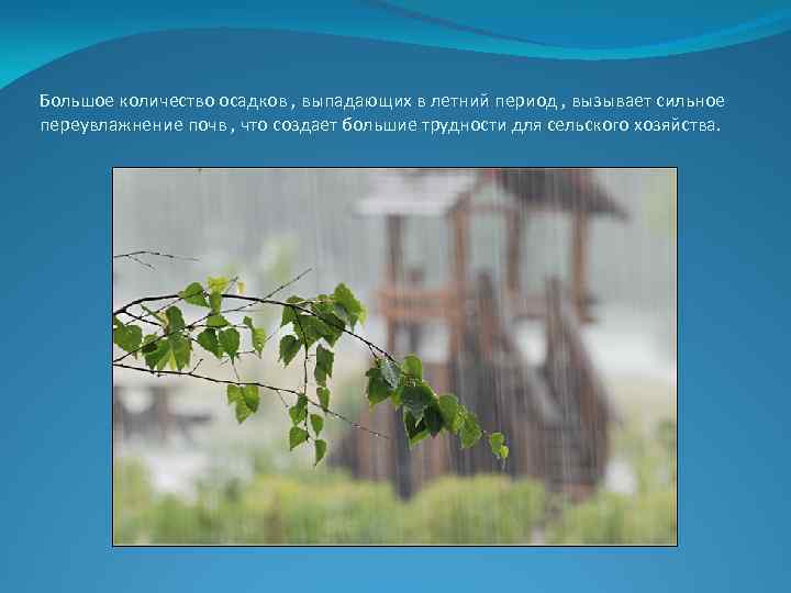 Большое количество осадков , выпадающих в летний период , вызывает сильное переувлажнение почв ,
