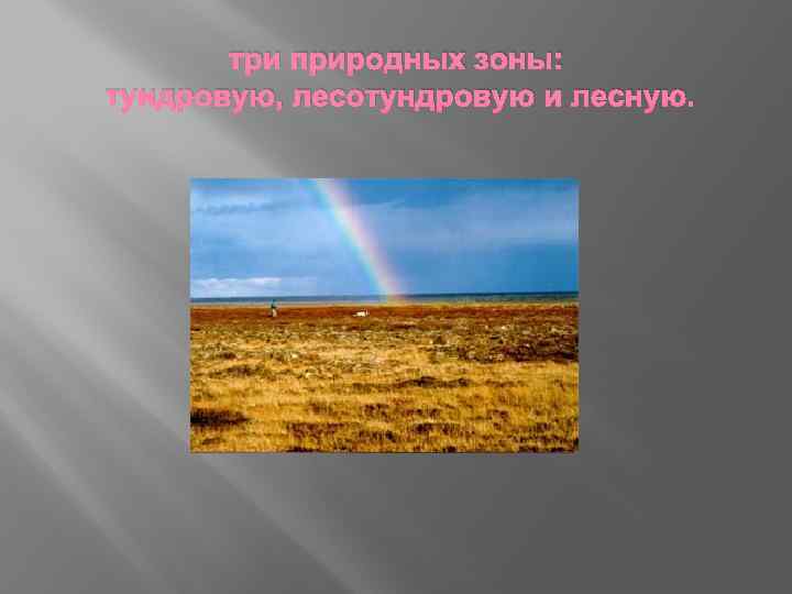 три природных зоны: тундровую, лесотундровую и лесную. 