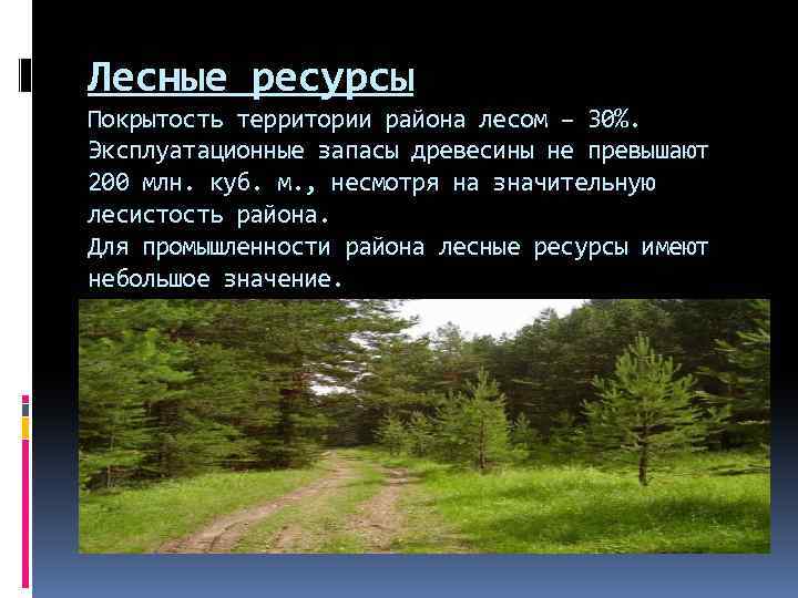 Лесные богатства. Северо экономический район Лесные ресурсы. Лесные ресурсы Северо Западного района России. Лесные ресурсы европейского Северо Запада. Лесные ресурсы экономических районов России.