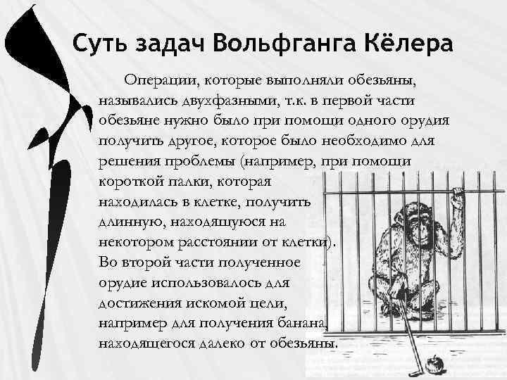 Суть задач Вольфганга Кёлера Операции, которые выполняли обезьяны, назывались двухфазными, т. к. в первой