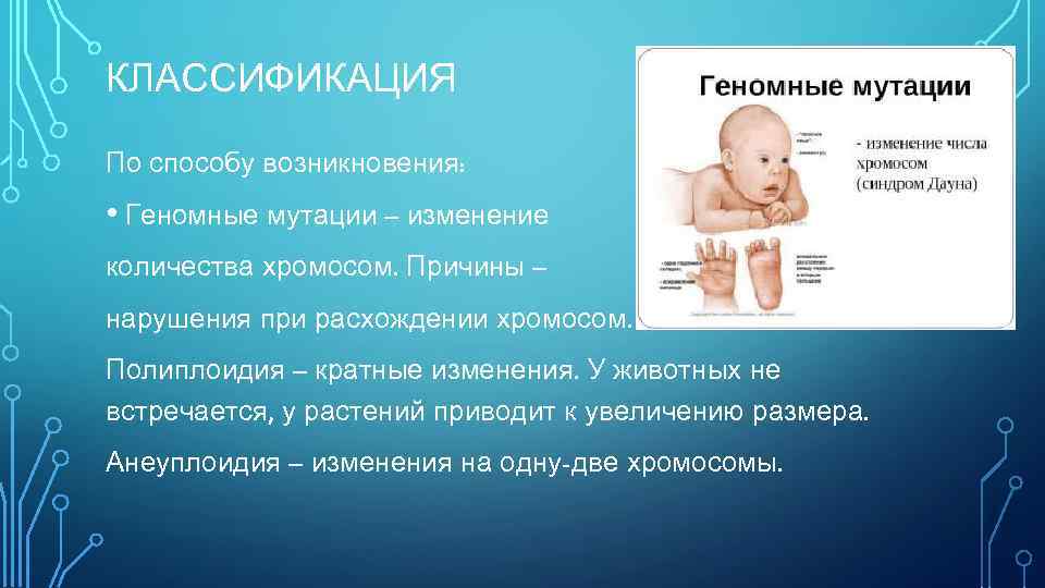 КЛАССИФИКАЦИЯ По способу возникновения: • Геномные мутации – изменение количества хромосом. Причины – нарушения