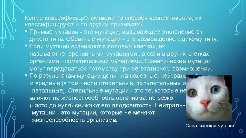 Кроме классификации мутаций по способу возникновения, их классифицируют и по другим признакам: • Прямые